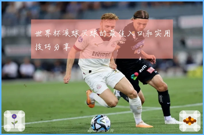 世界杯滚球买球的最佳入口和实用技巧分享