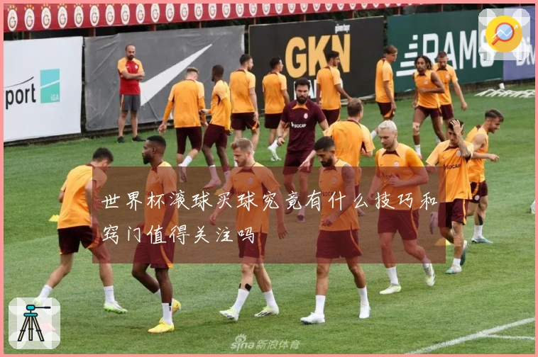 世界杯滚球买球究竟有什么技巧和窍门值得关注吗
