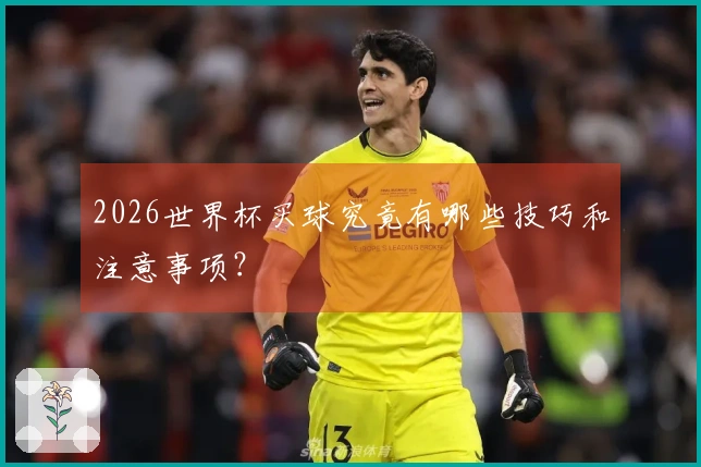 2026世界杯买球究竟有哪些技巧和注意事项？