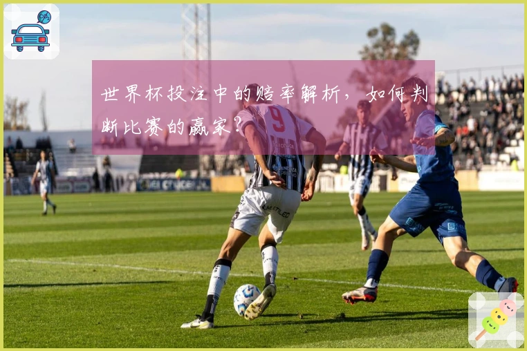 世界杯投注中的赔率解析，如何判断比赛的赢家？