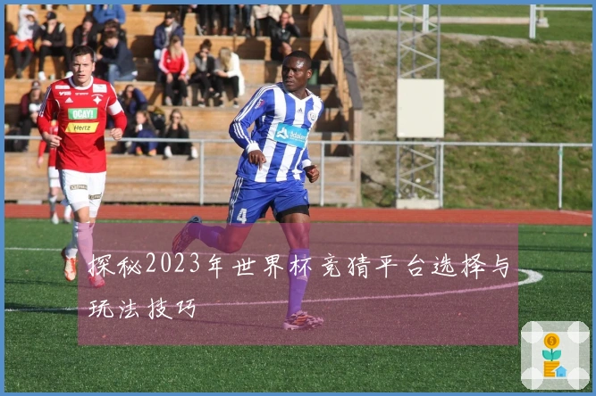 探秘2023年世界杯竞猜平台选择与玩法技巧