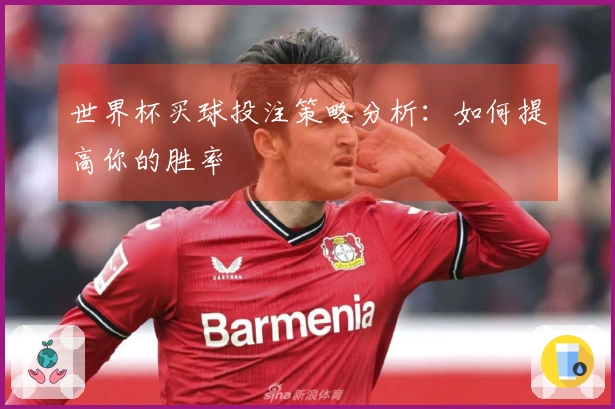 世界杯买球投注策略分析：如何提高你的胜率
