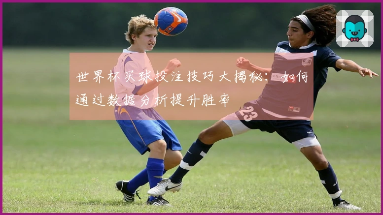 世界杯买球投注技巧大揭秘：如何通过数据分析提升胜率