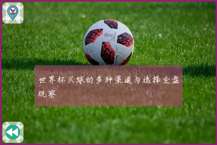 世界杯买球的多种渠道与选择全盘观察