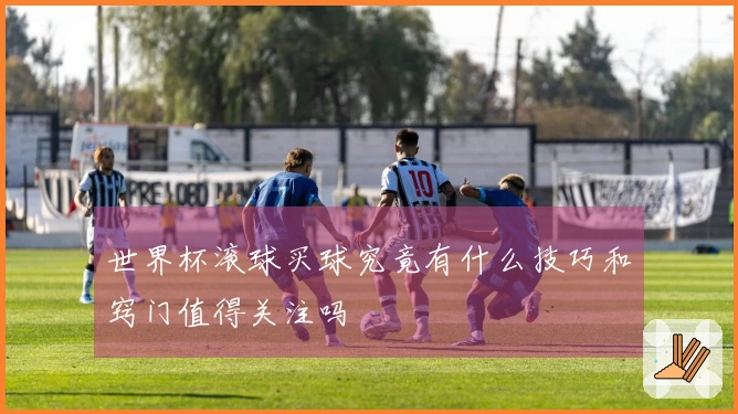 世界杯滚球买球究竟有什么技巧和窍门值得关注吗