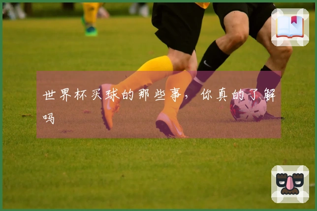 世界杯买球的那些事，你真的了解吗
