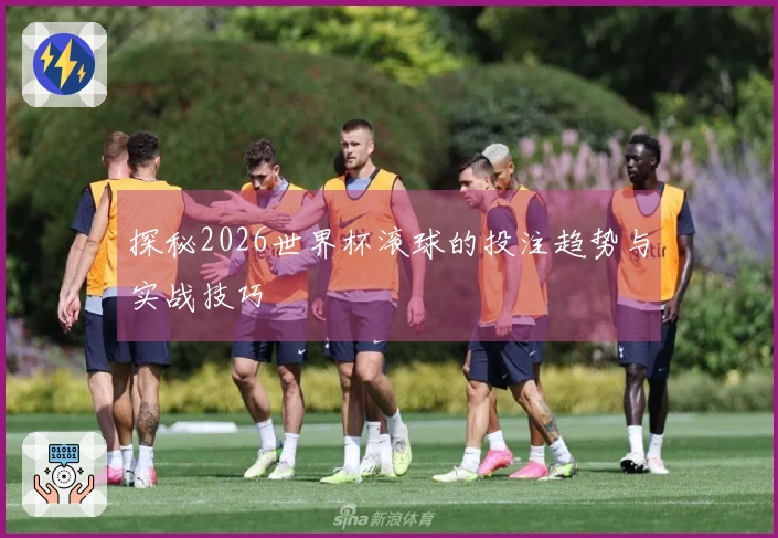 探秘2026世界杯滚球的投注趋势与实战技巧