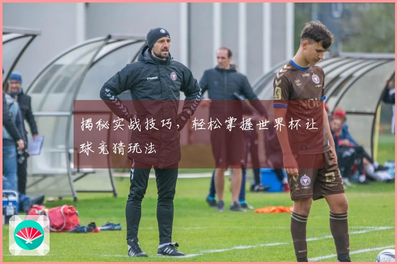 揭秘实战技巧，轻松掌握世界杯让球竞猜玩法