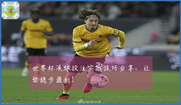 世界杯滚球投注实战技巧分享，让你稳步盈利！