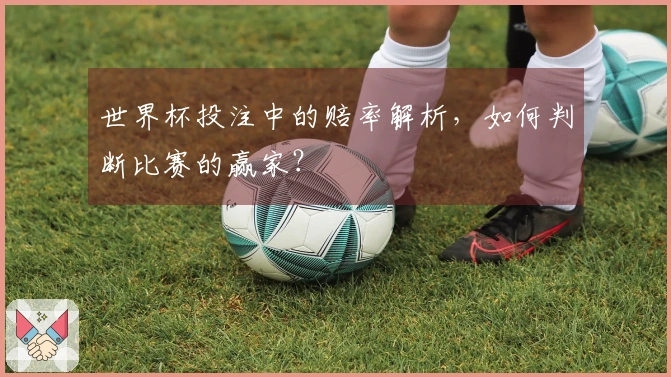 世界杯投注中的赔率解析，如何判断比赛的赢家？