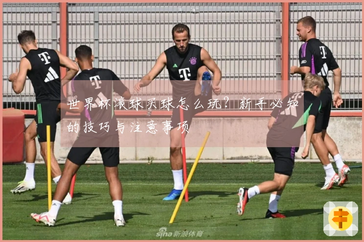 世界杯滚球买球怎么玩？新手必知的技巧与注意事项