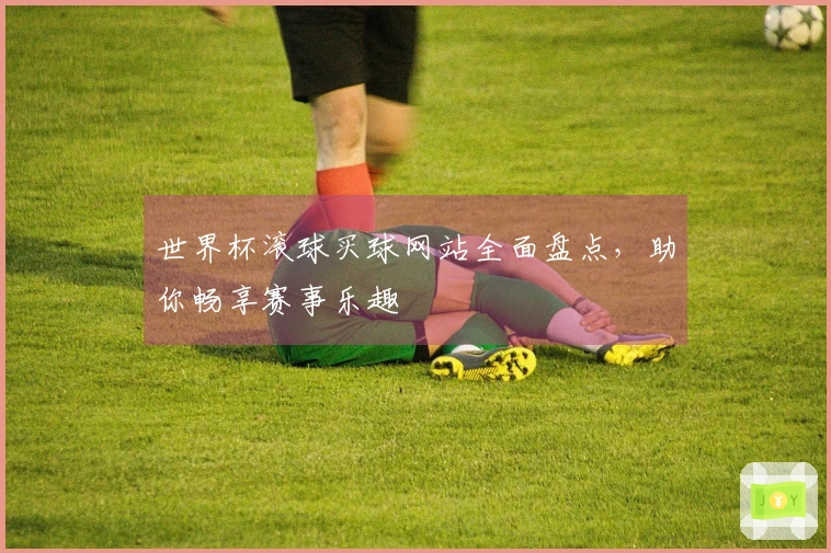 世界杯滚球买球网站全面盘点，助你畅享赛事乐趣