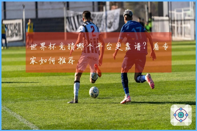 世界杯竞猜哪个平台更靠谱？看专家如何推荐