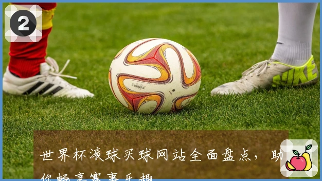 世界杯滚球买球网站全面盘点，助你畅享赛事乐趣